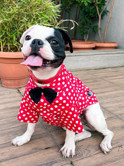 Red Polka Dot Shirt With Bow