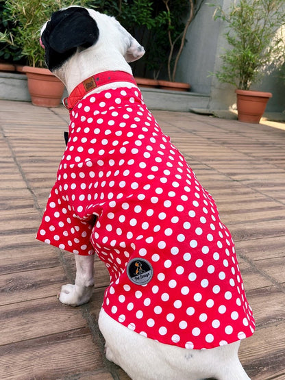Red Polka Dot Shirt With Bow