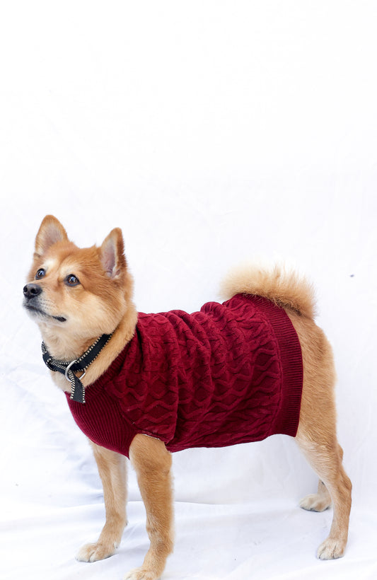 Petsnugs Maroon Cable Knit Sweater XS (12")