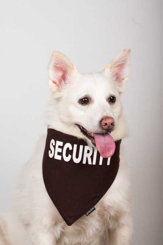 Security Bandana Brown