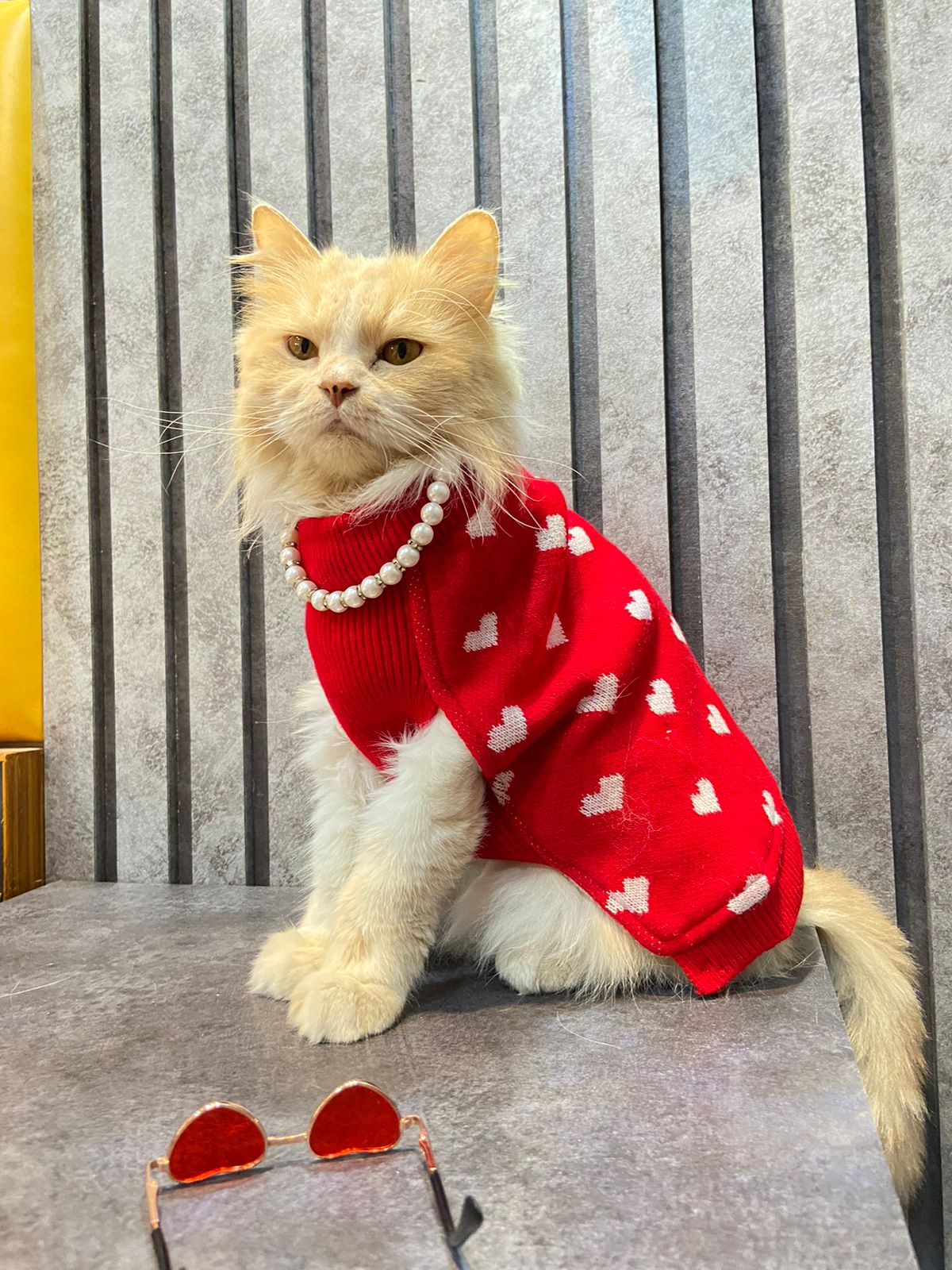Petsnugs Red Heart Sweater